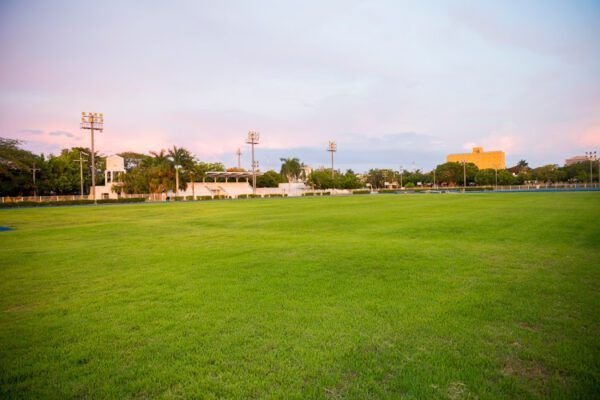 imagen Estadio Gral. Salvador Alvarado